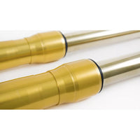 Ohlin Universal RWU 43mm forks